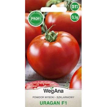 Pomidor wysoki URAGAN F1 (Solanum lycopersicum) WegAna